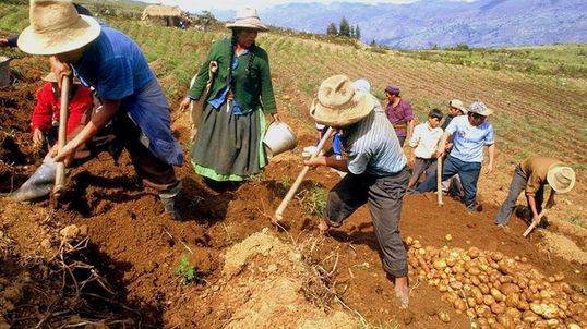 Bono Rural 760 Soles: Link Y Consultar Si Eres Beneficiario Con DNI
